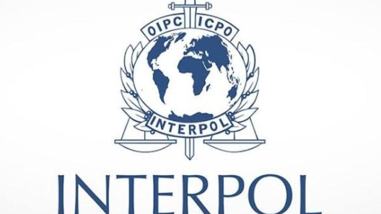 الإنتربول يعتقل 1209 مجرمين سيبرانيين في 18 دولة إفريقية ضمن حملة عالمية